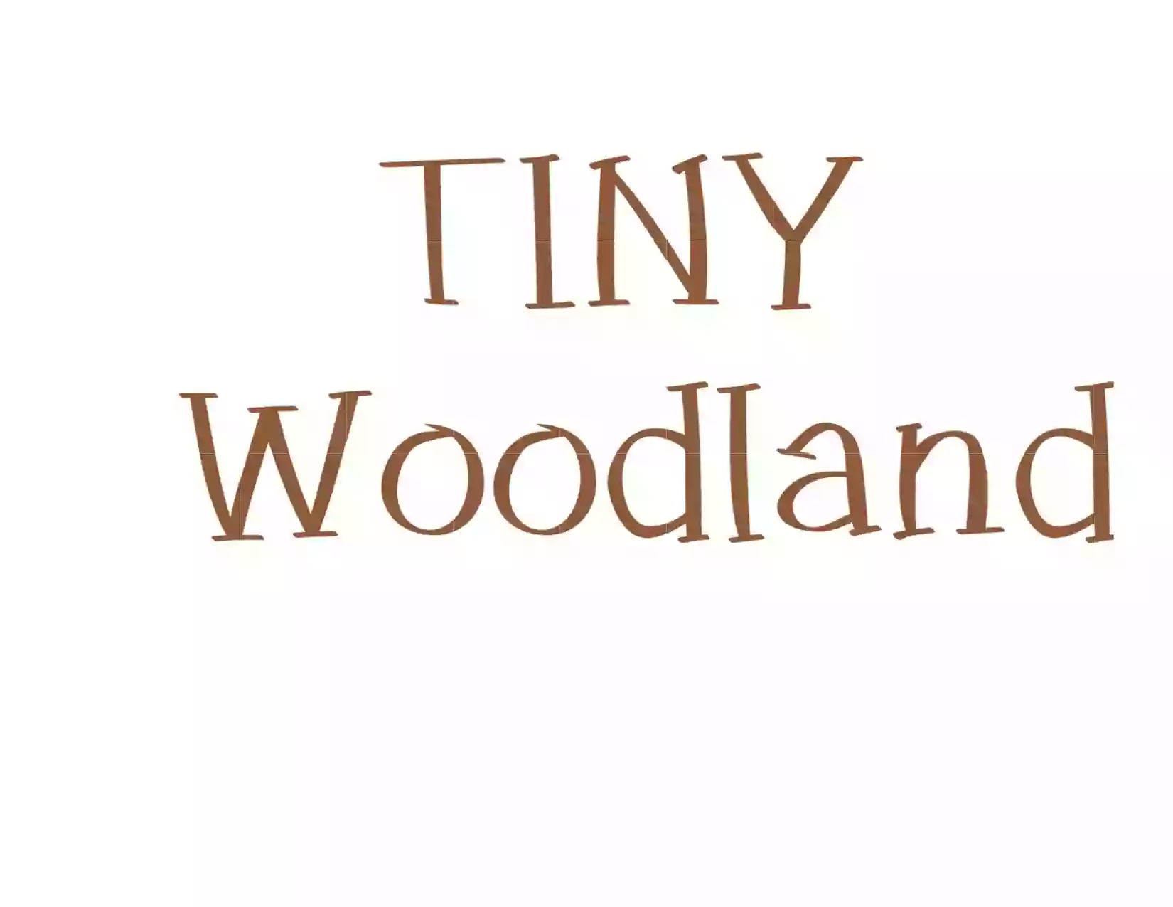 Tiny Woodland Childcare