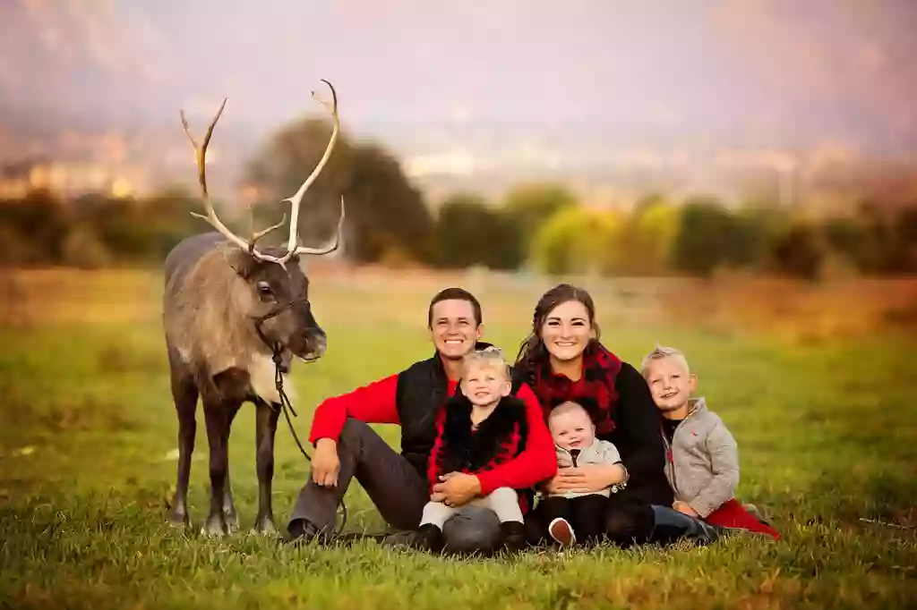 Utah Reindeer