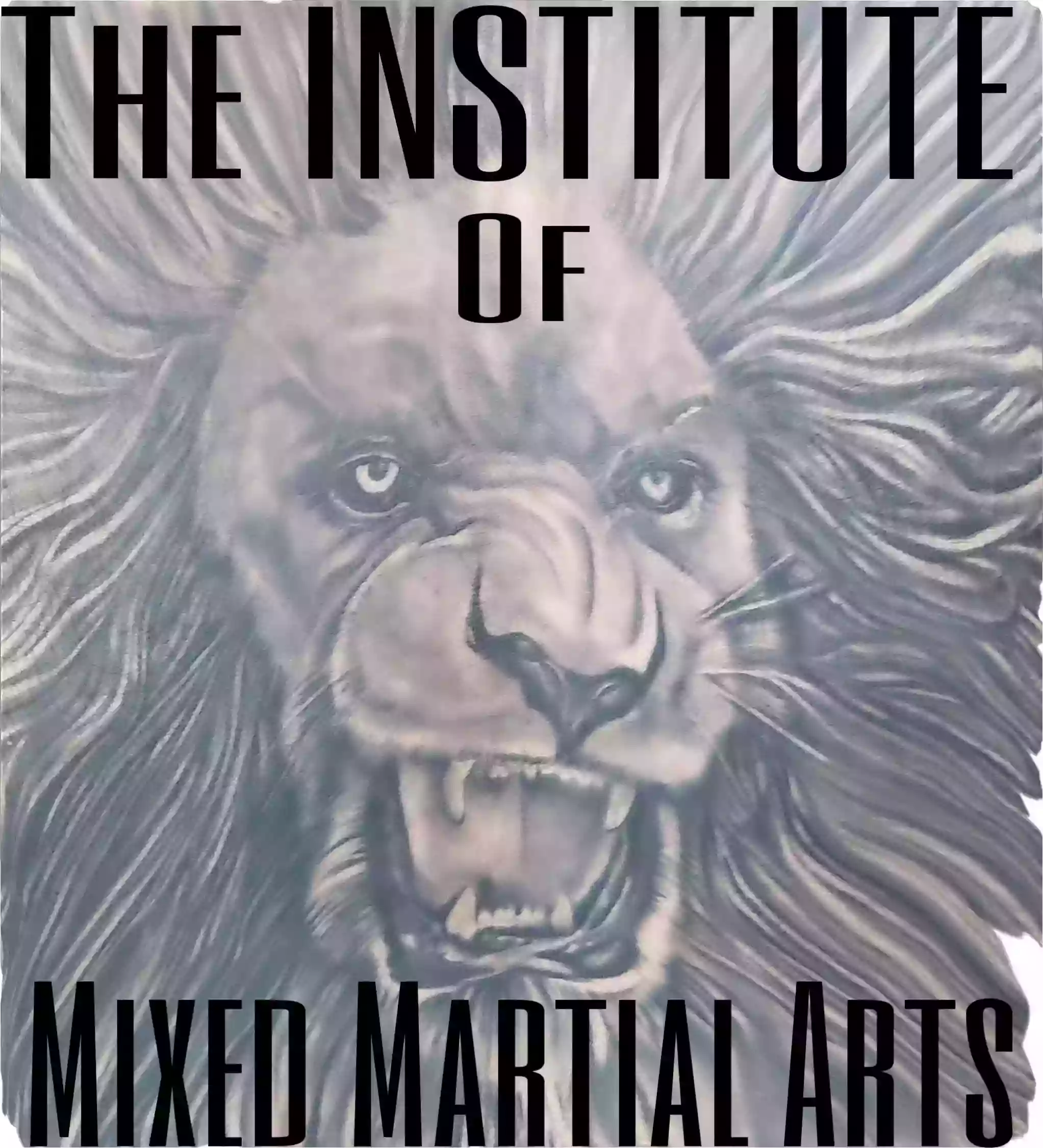 The Institute of Mixed Martial Arts