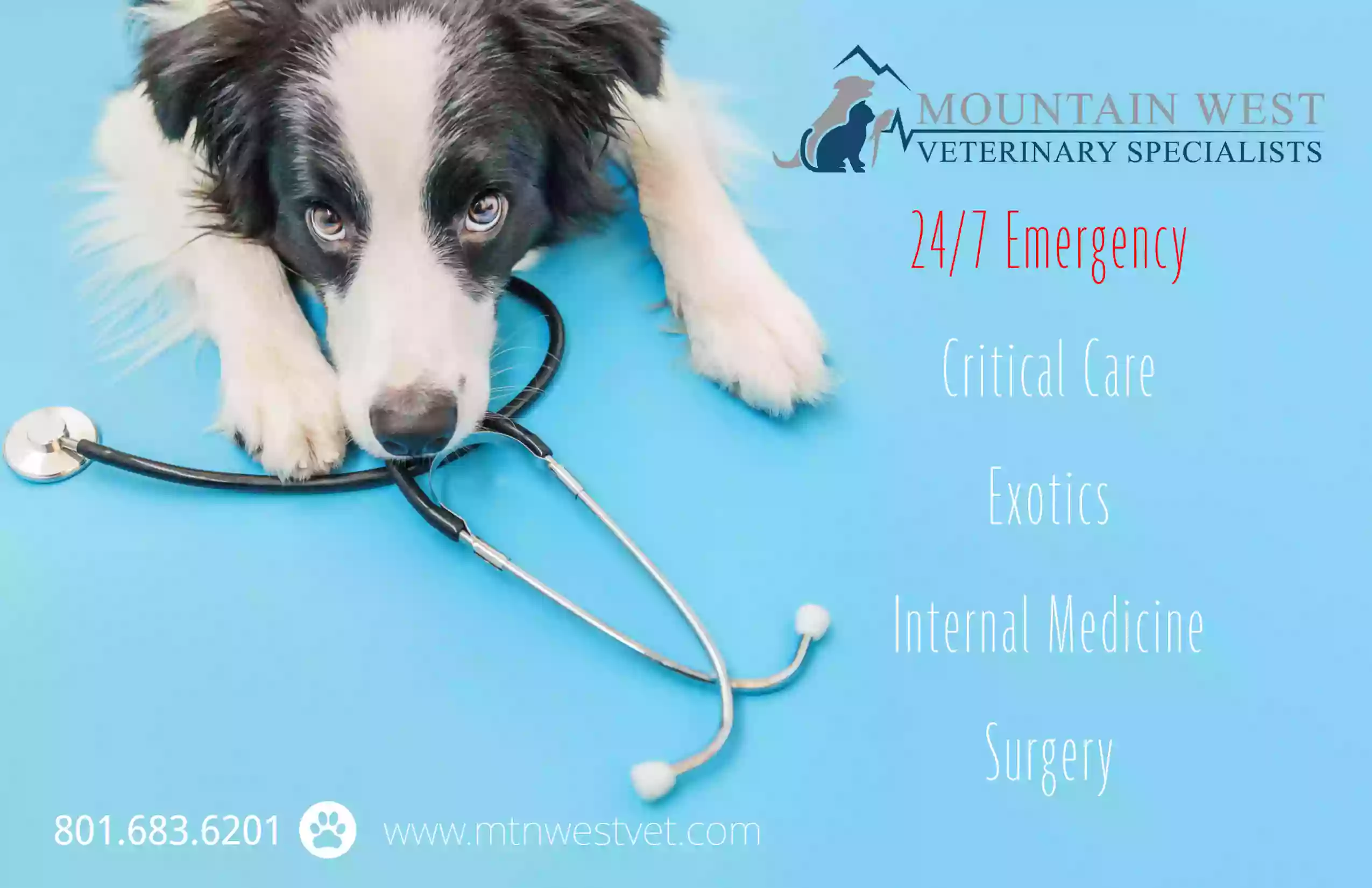 Mountain West Veterinary Specialists