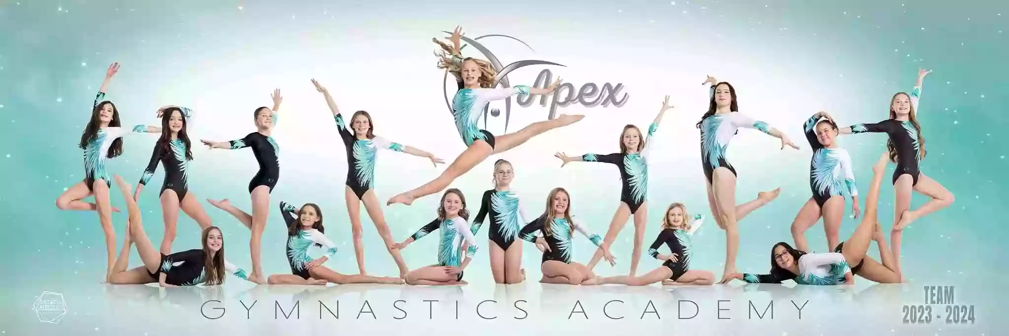 Apex Gymnastics Academy