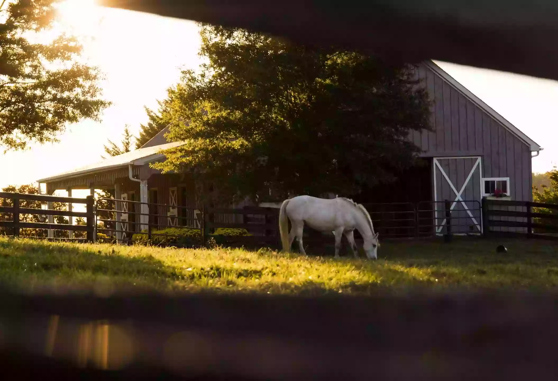 Star City Farm