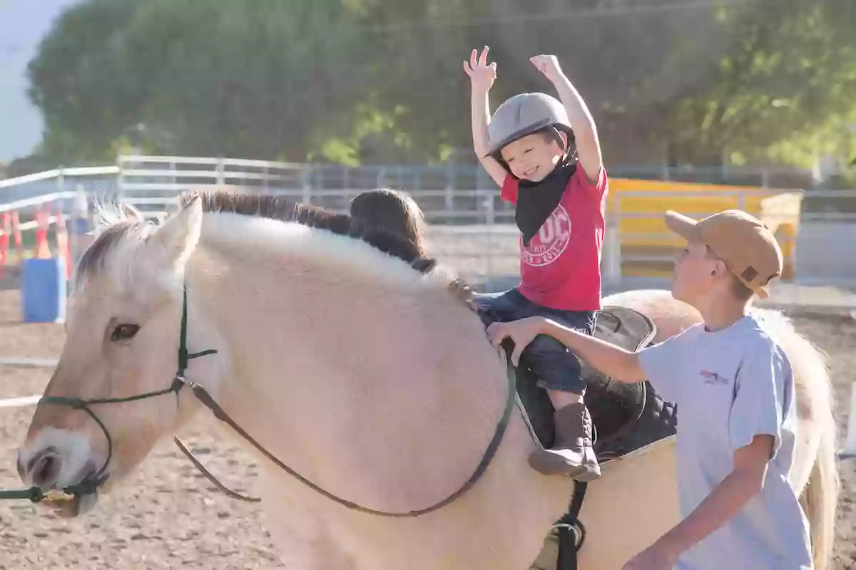 Courage Reins Equine Assisted Therapies