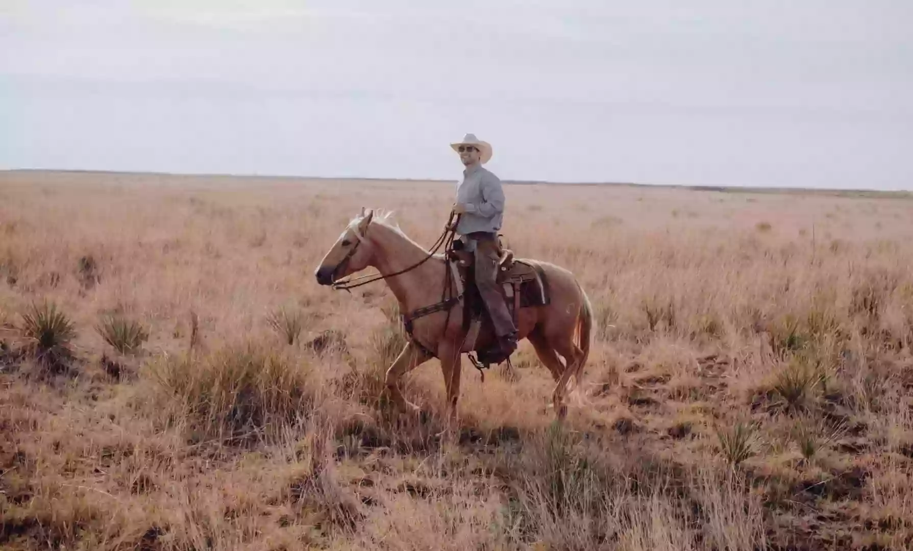 Mindful Horsemanship, LLC