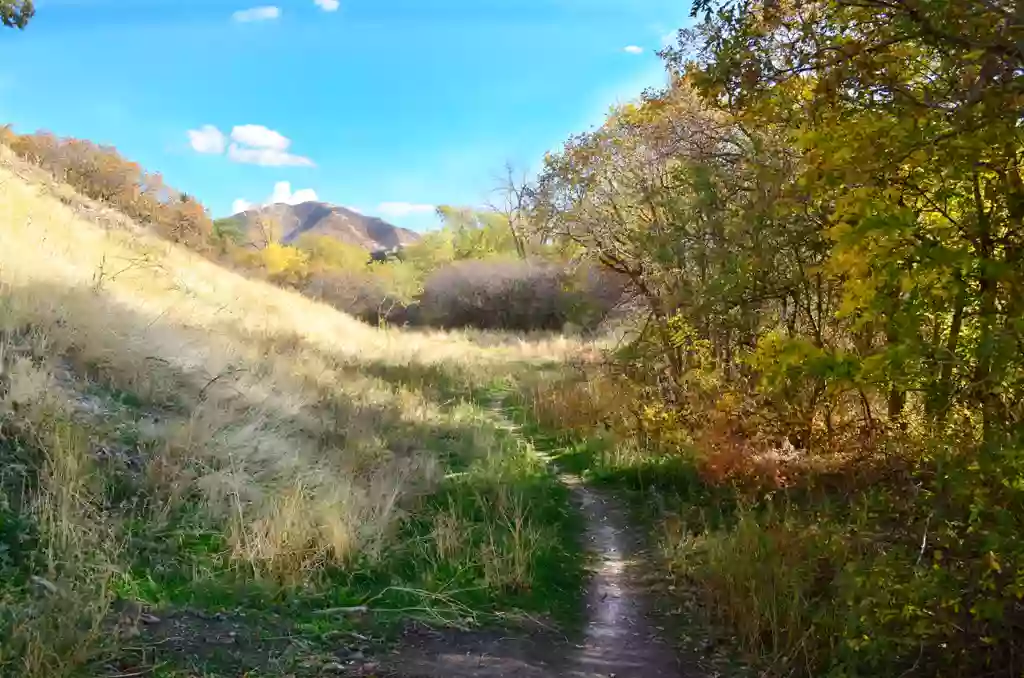 Wasatch Hollow Preserve