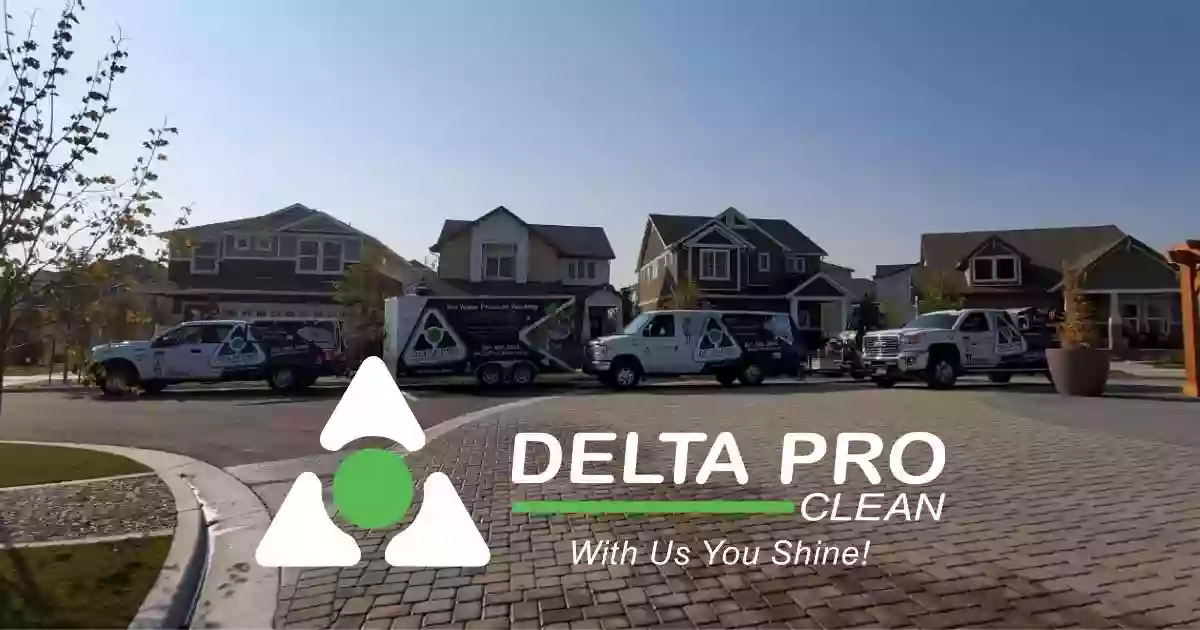Delta Pro Clean