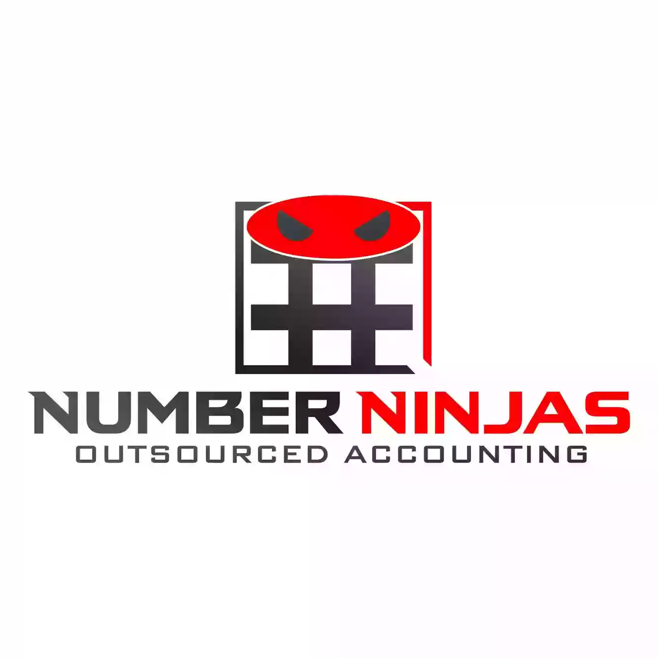 Number Ninjas Accounting