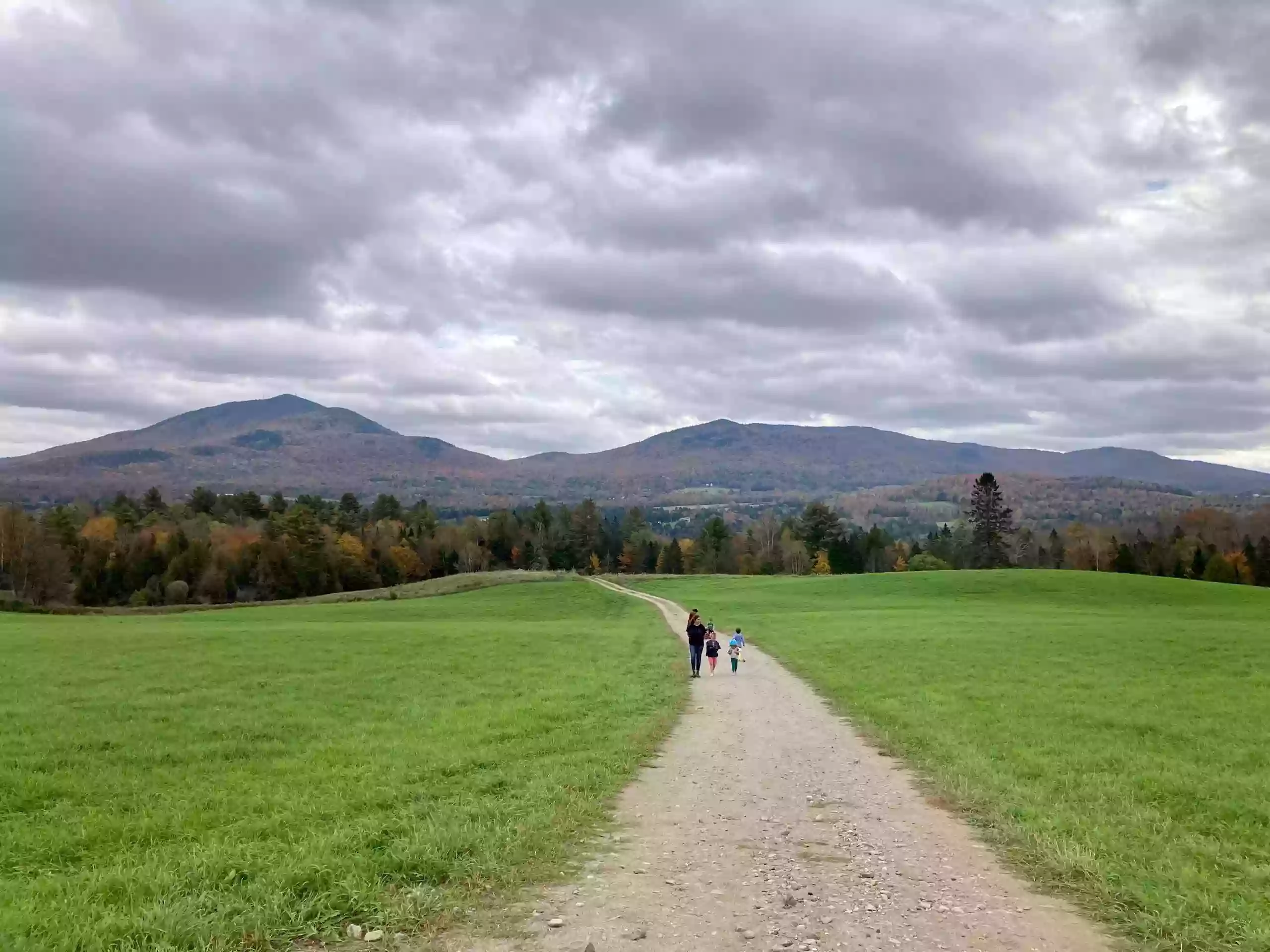 Field, Farm and Forest