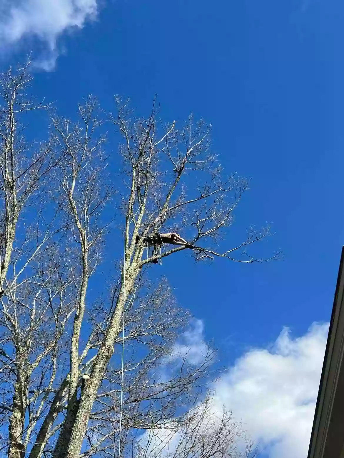 Jon's Tree Service, LLC, Vermont