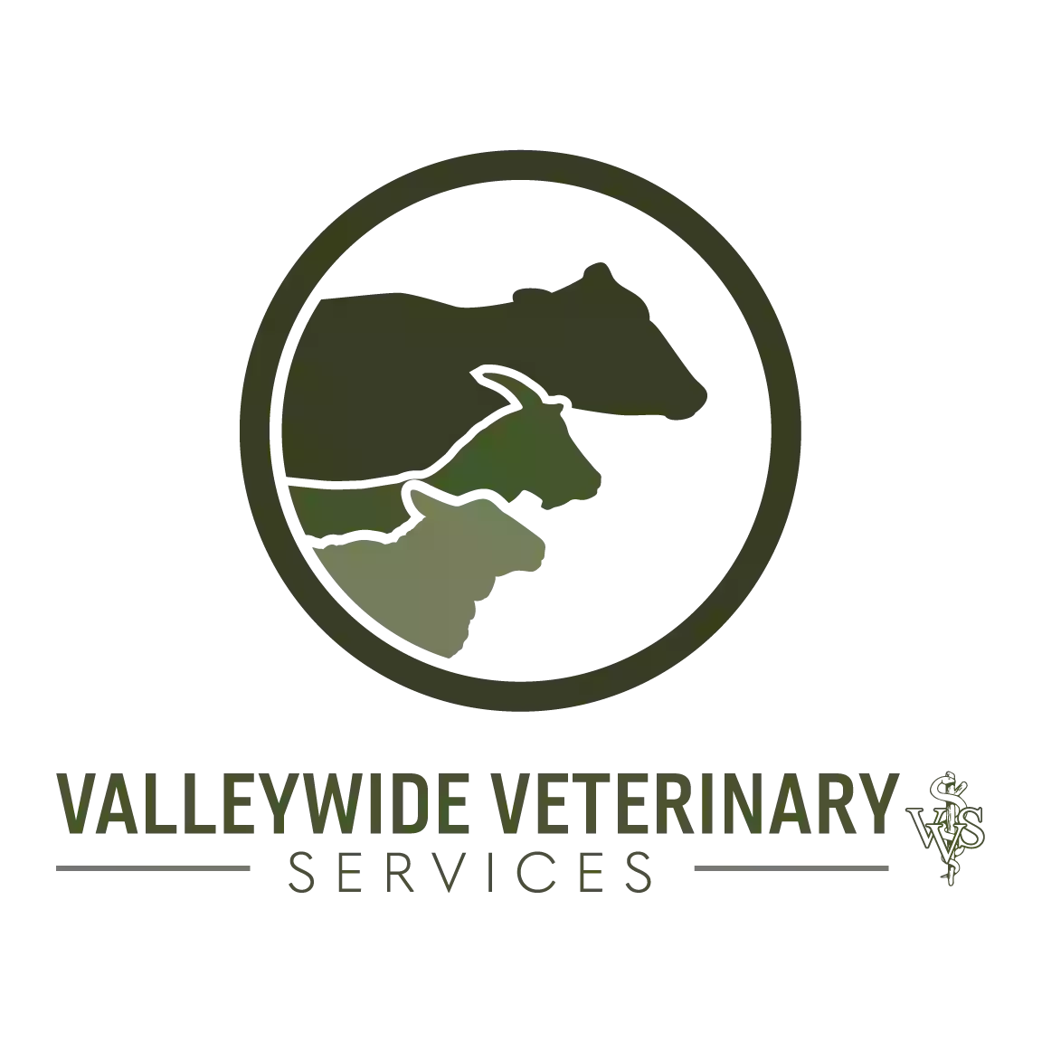 Valleywide Veterinary Services