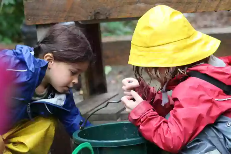 Mountain Village School