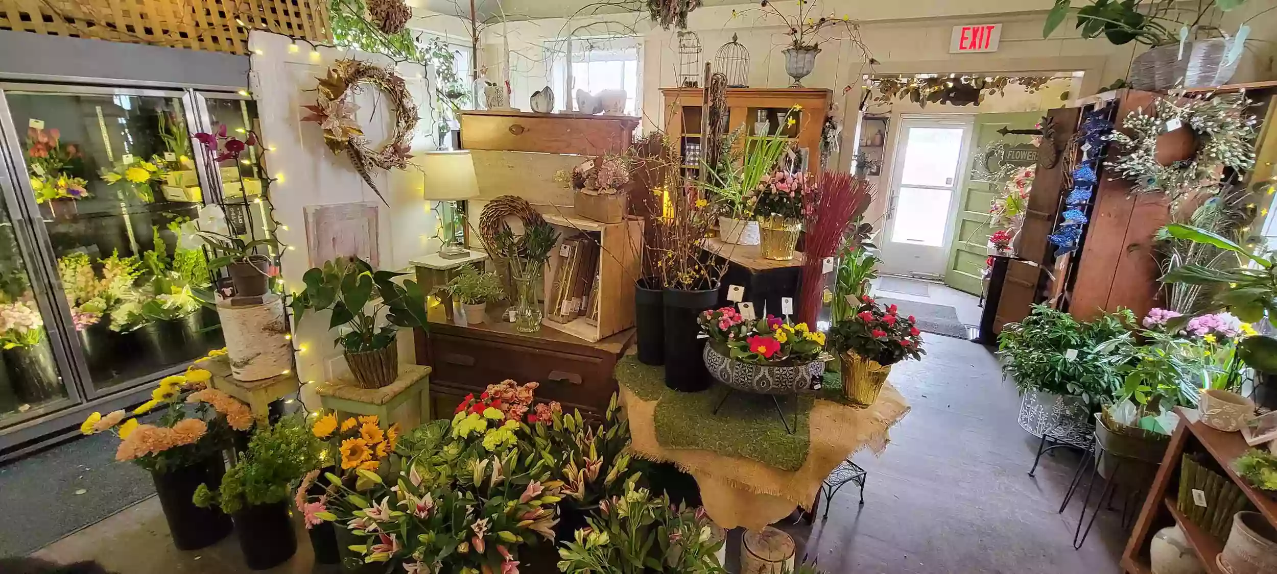 Middlebury Floral & Gifts