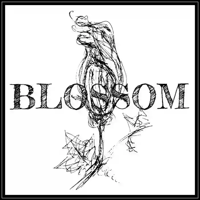 Blossom Whole Food Kitchen