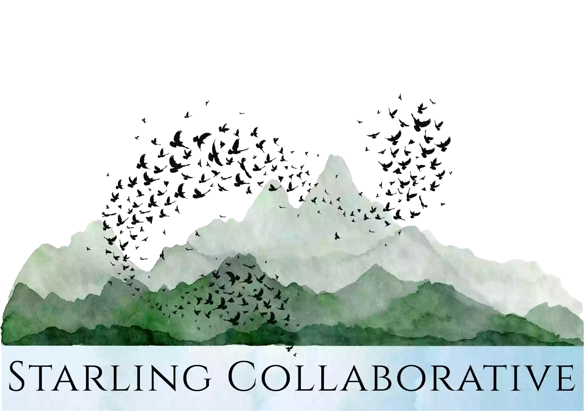 Starling Collaborative