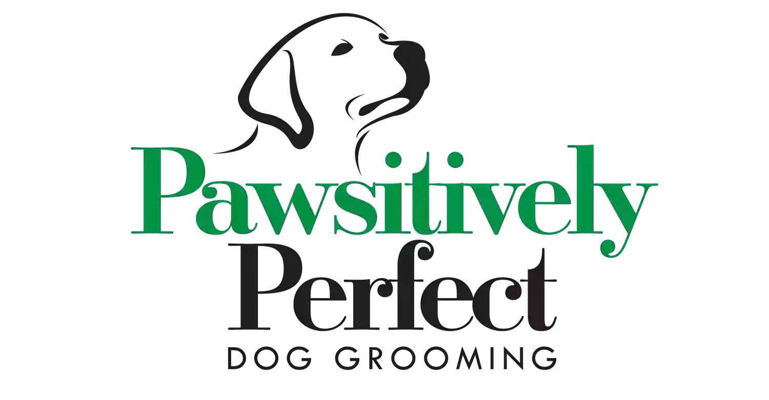 Pawsitively Perfect Dog Grooming