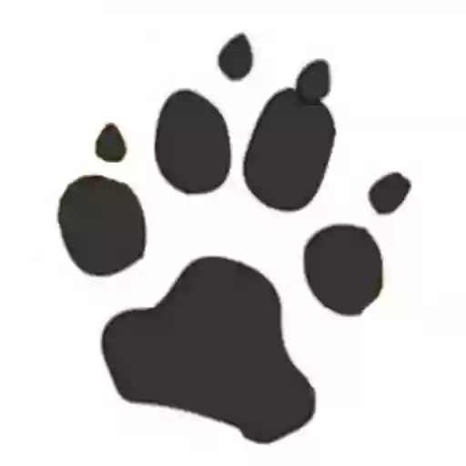 Awesome Paws Dog Training Services