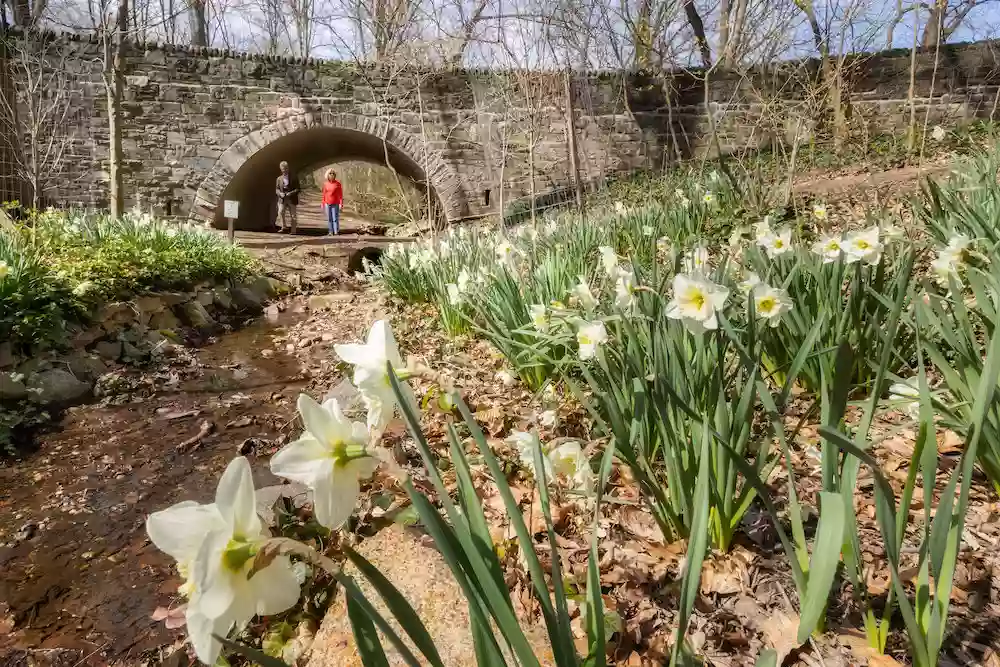 Tregaron Conservancy