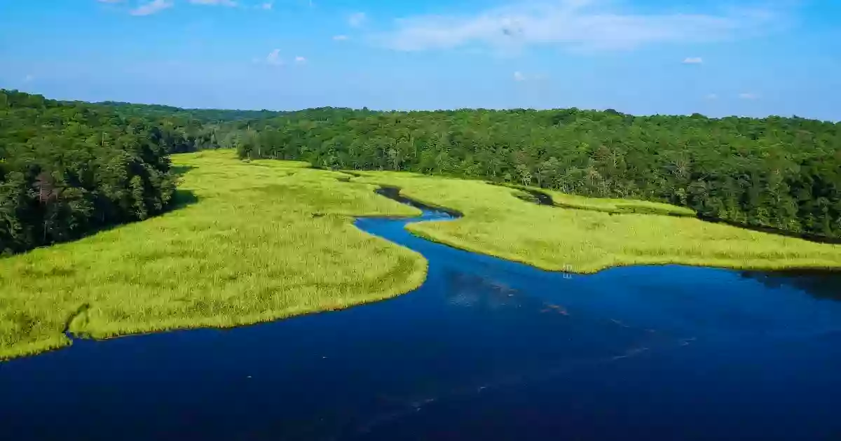 Rappahannock River Valley National Wildlife Refuge - Port Royal Unit