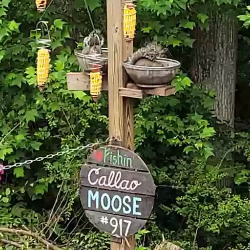 Loyal Order of Moose