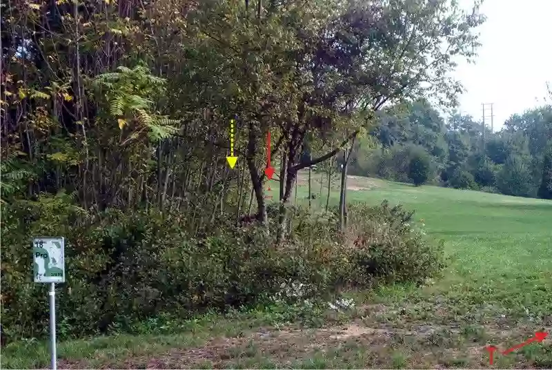 Giles Run Disc Golf Course - Hole 12