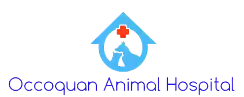 Occoquan Animal Hospital: Santangelo Lauren DVM