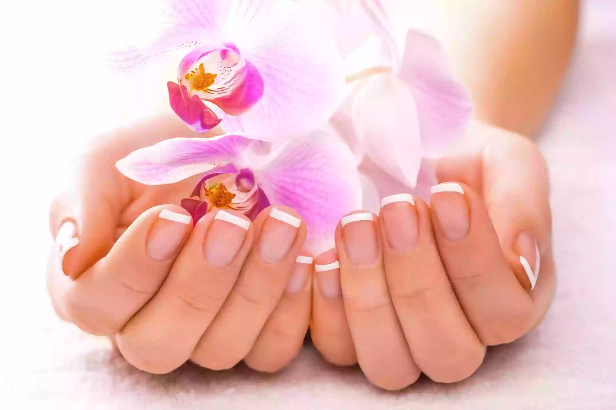 Venus Nails Spa