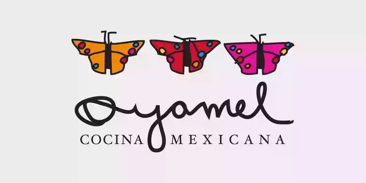 Oyamel Cocina Mexicana