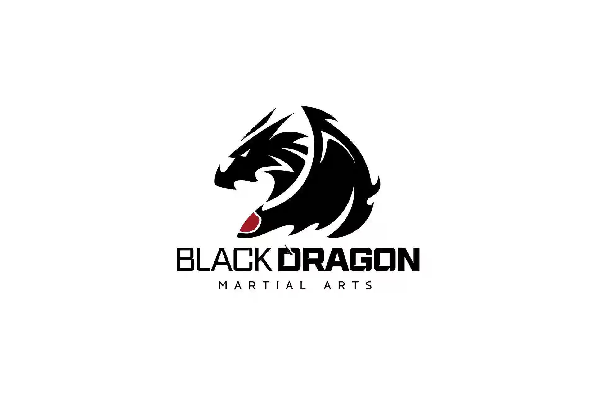 Black Dragon Martial Arts - Chantilly / Franklin Farm