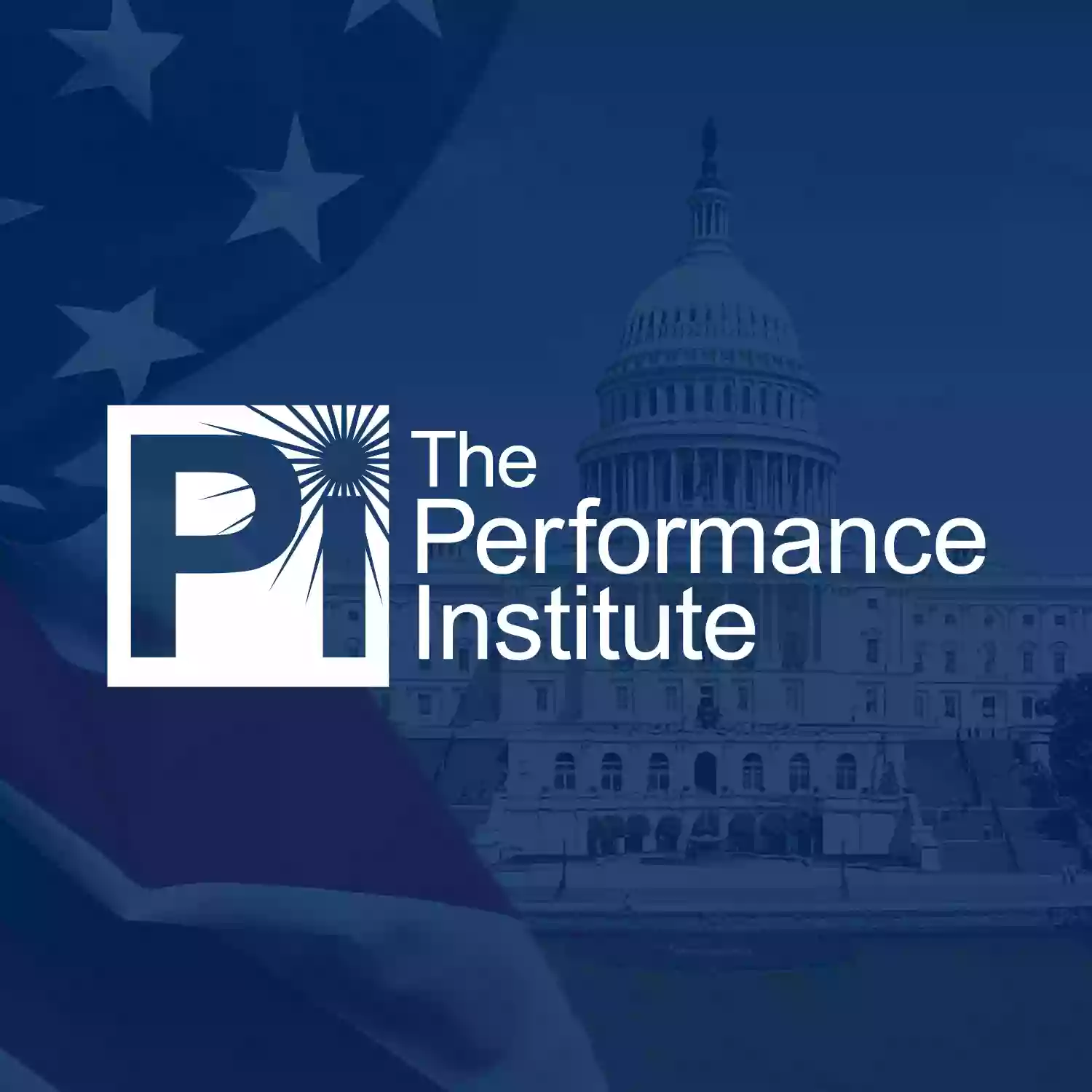 The Performance Institute