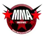 MMA Institute