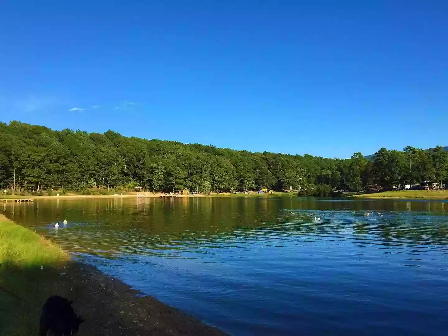 Stoney Creek Resort and Campground