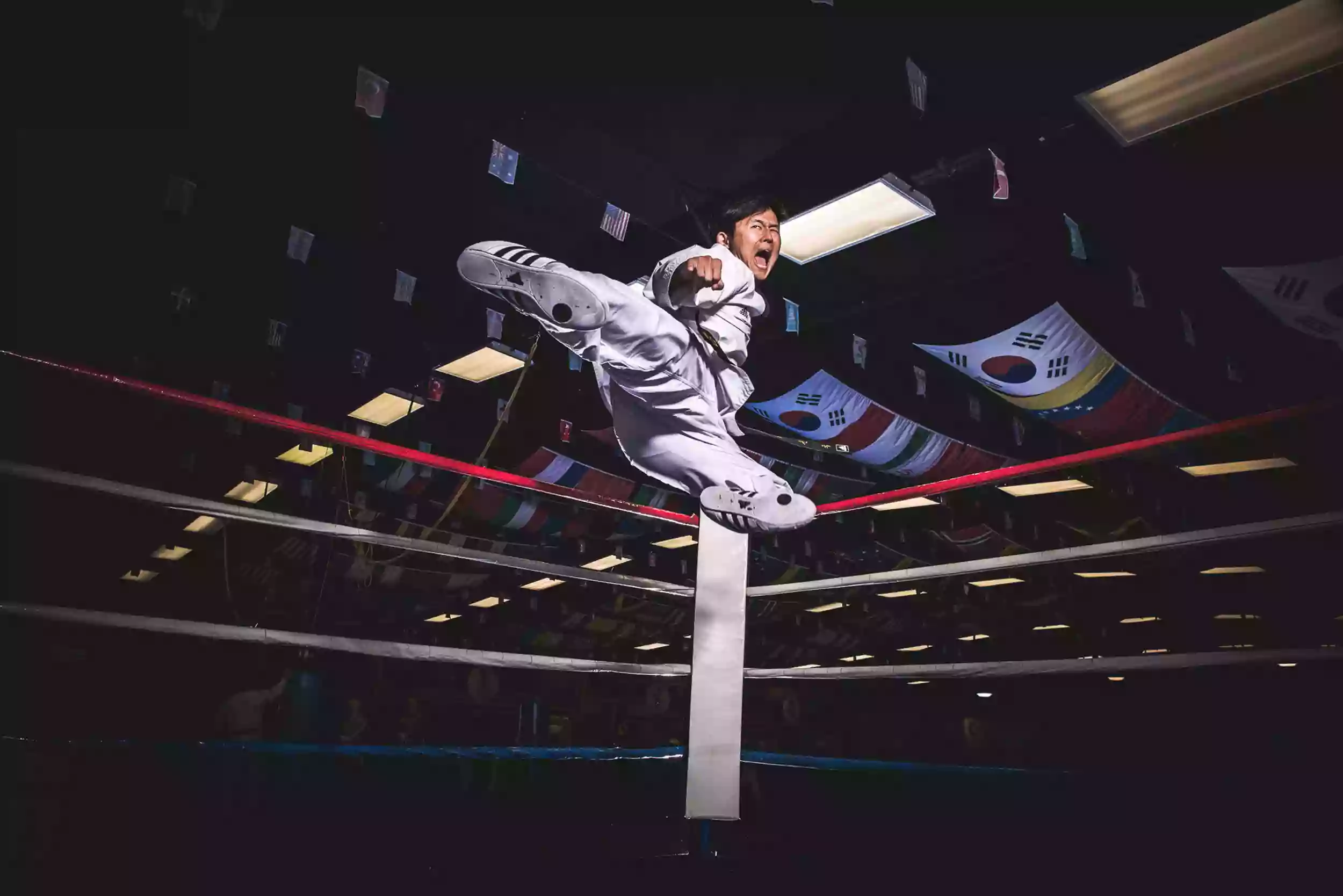 USTMA - United States Taekwondo Martial Arts Academy