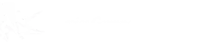 Classics Gymnastics Center Inc