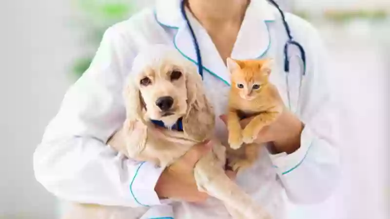 ADR Urgent Veterinary Care