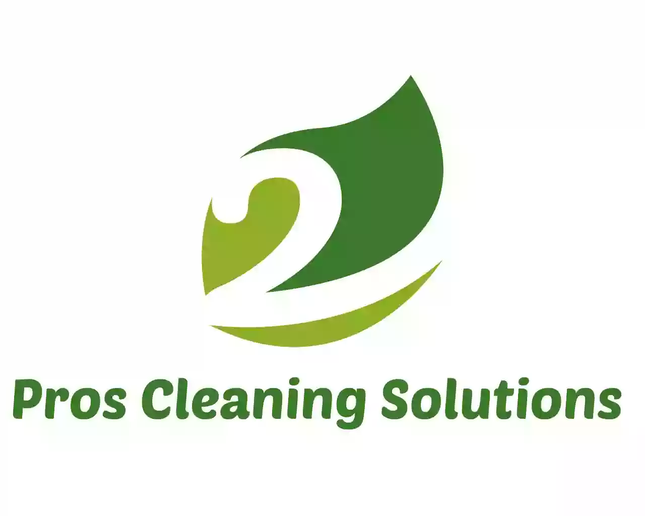 2 Pros Cleaning Solutions LLC