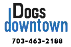 Dog's Downtown