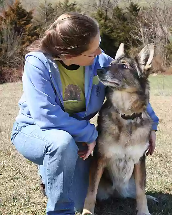 Love On A Leash Dog Training