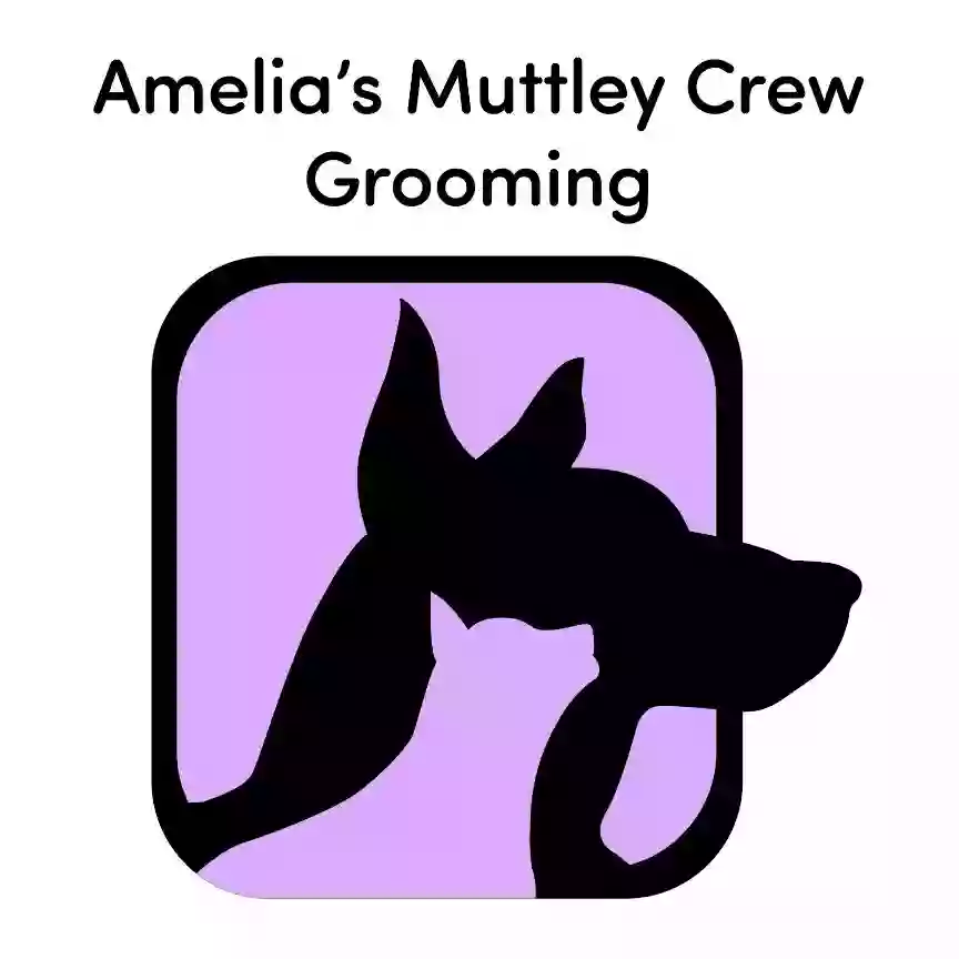 Amelia's Muttley Crew Grooming