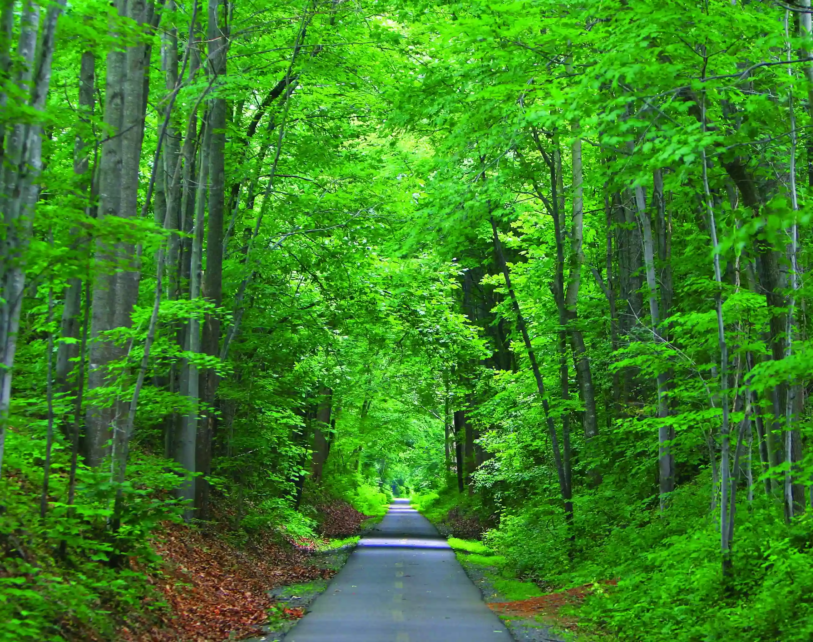 W&OD Trailhead