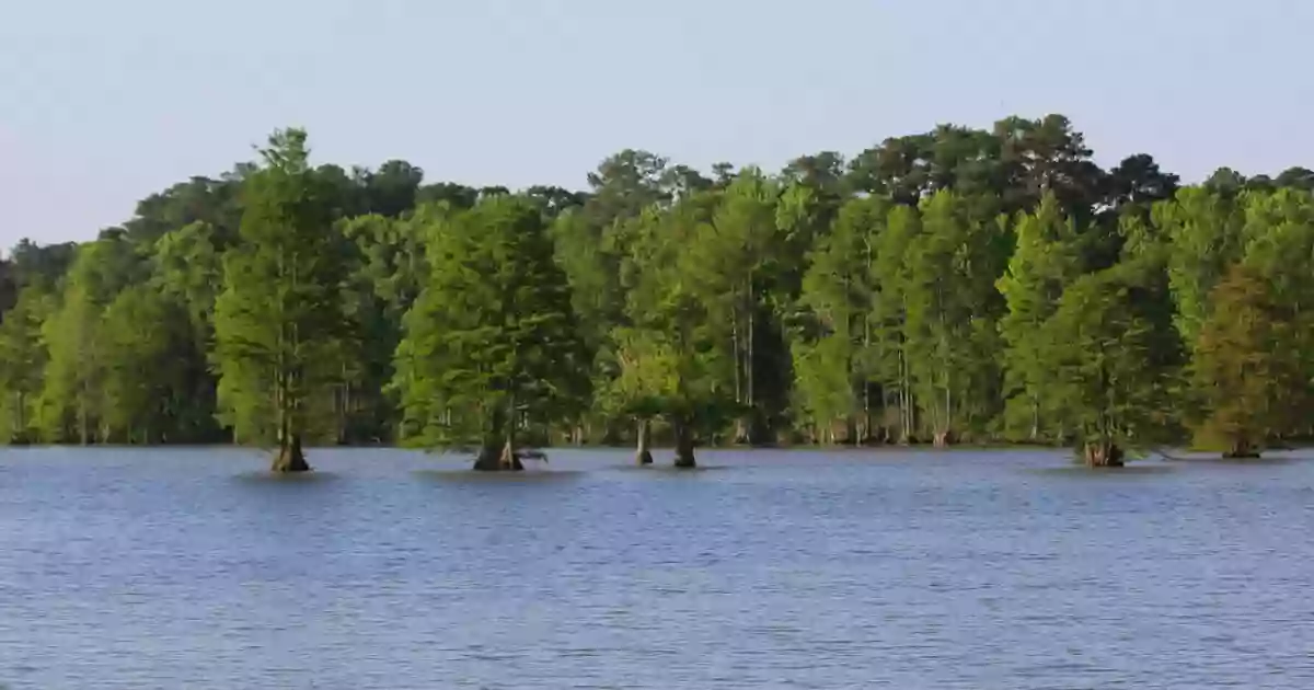Stumpy Lake Natural Area