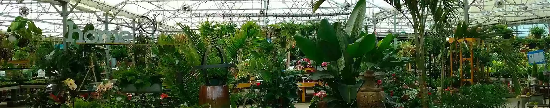 The Great Big Greenhouse and Nursery