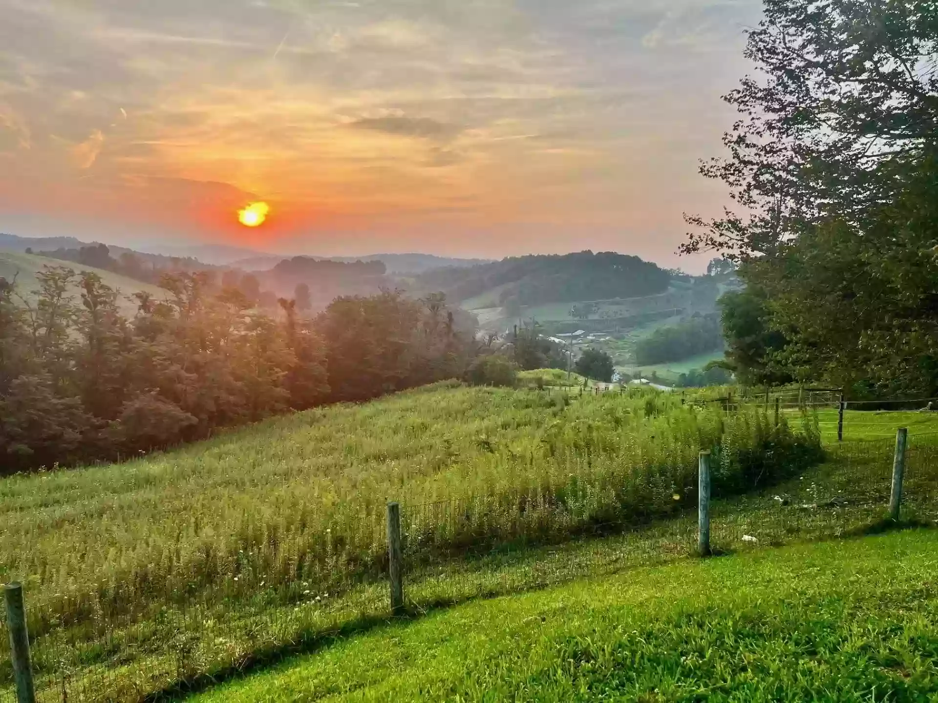 Rugby Creek Cabins, Equestrian Retreat and Unique Rentals