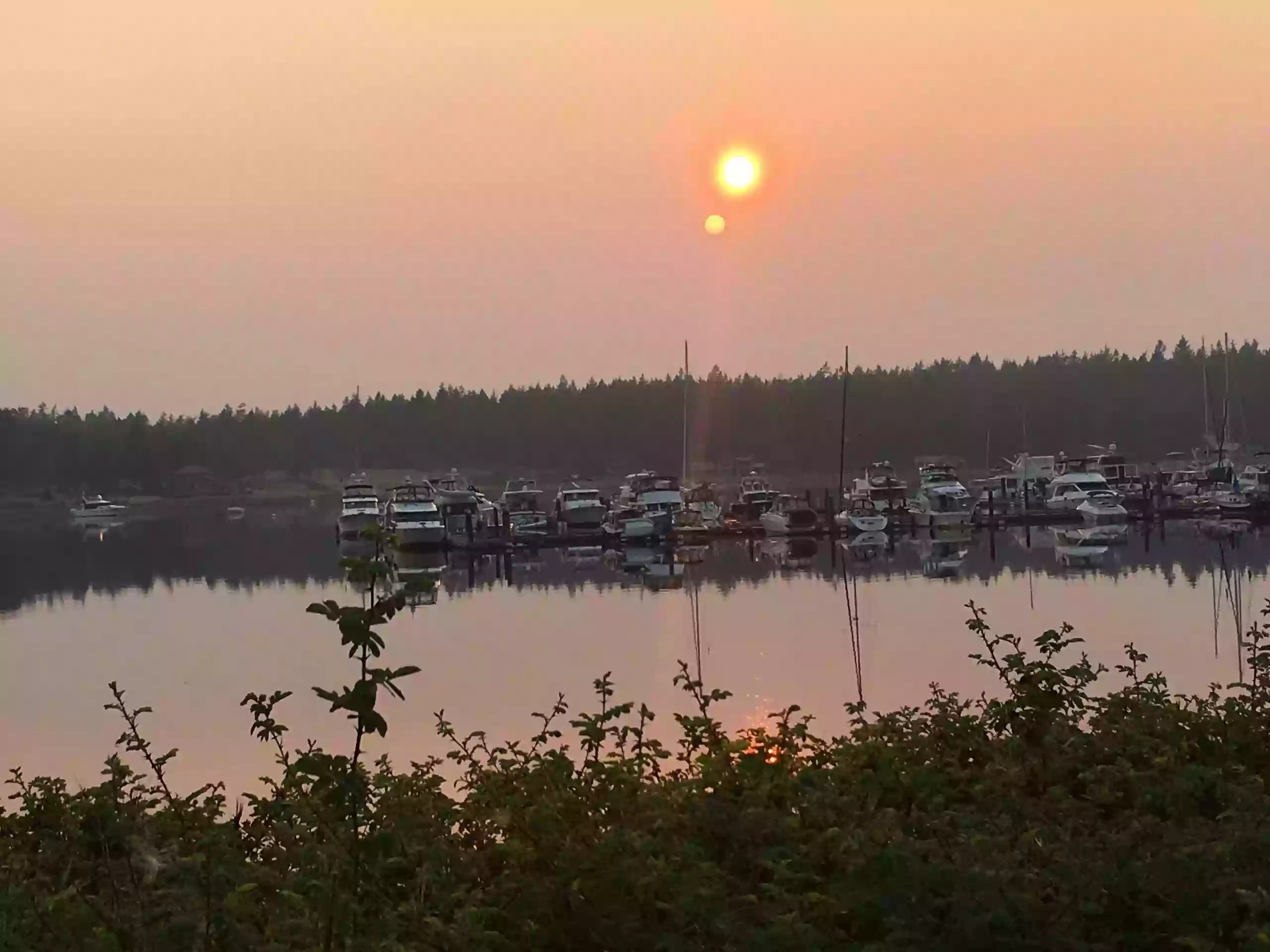 Lopez Island Taxi and Tours