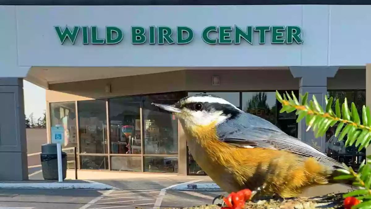 Wild Bird Center