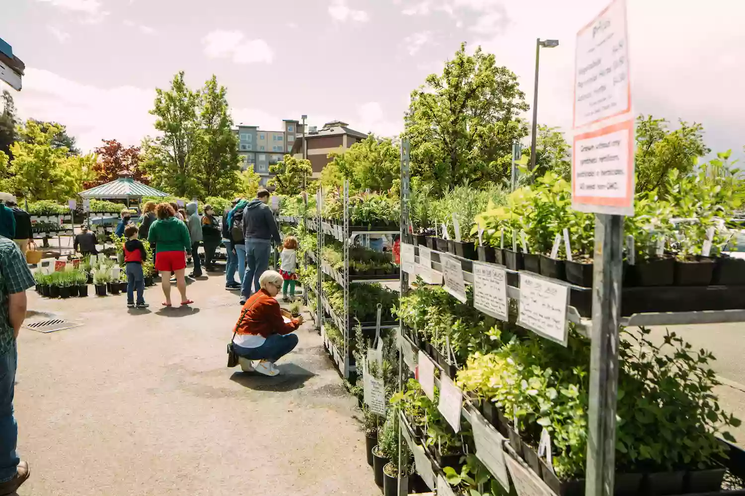 The Olympia Farmers Market