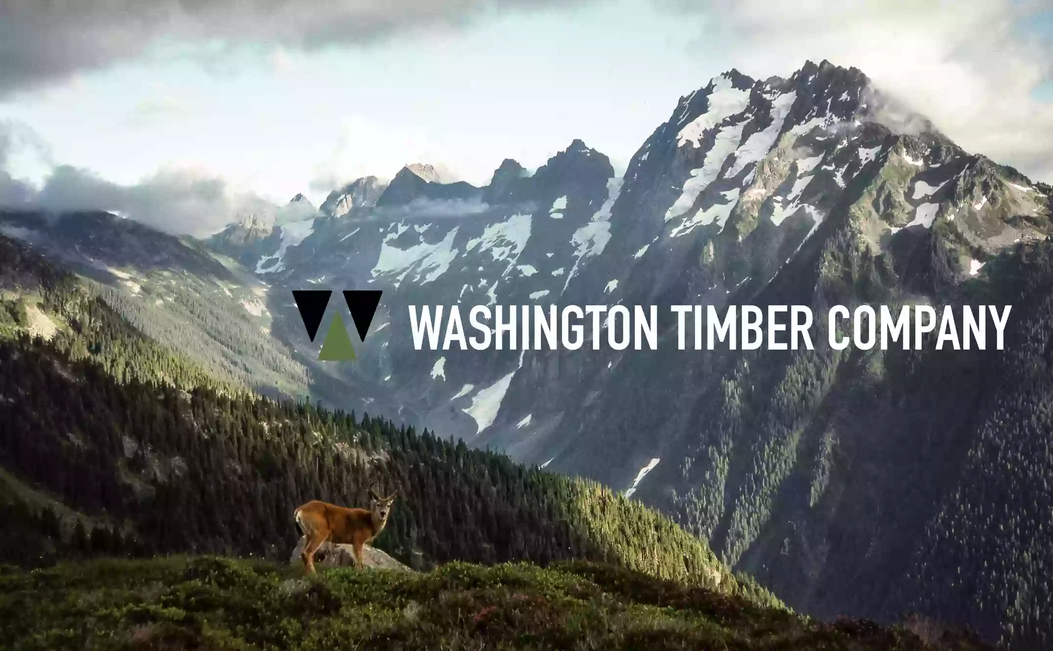 Washington Timber Company