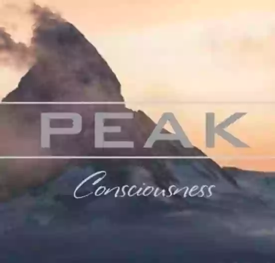 Peak Consciousness LLC
