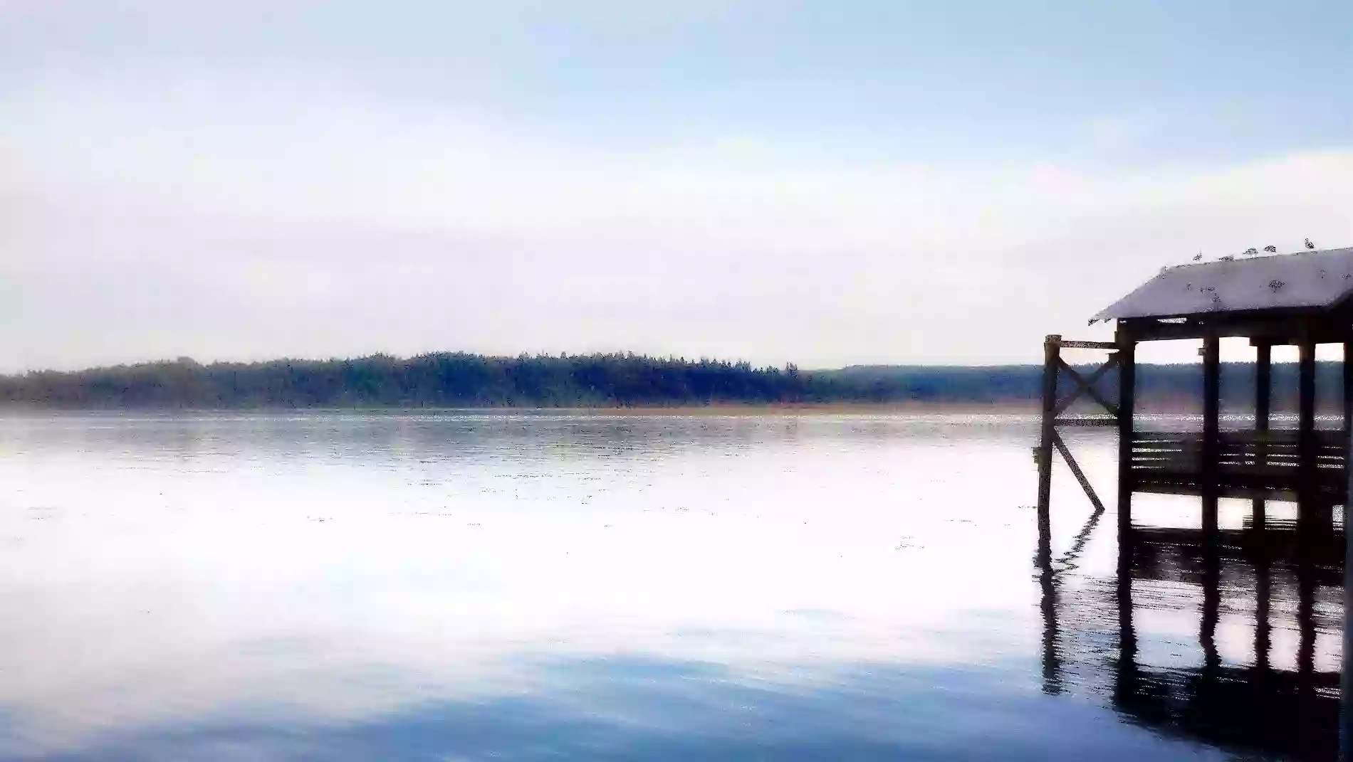 Nisqually Reach Nature Center