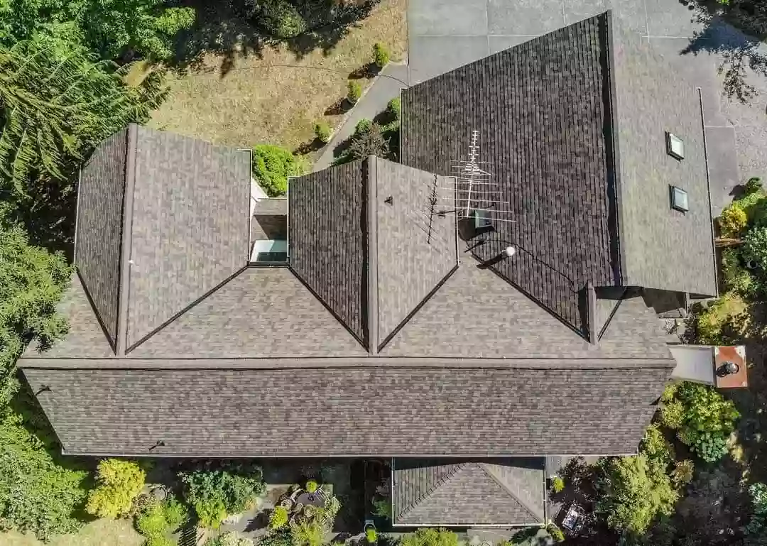 Next Level Roofing