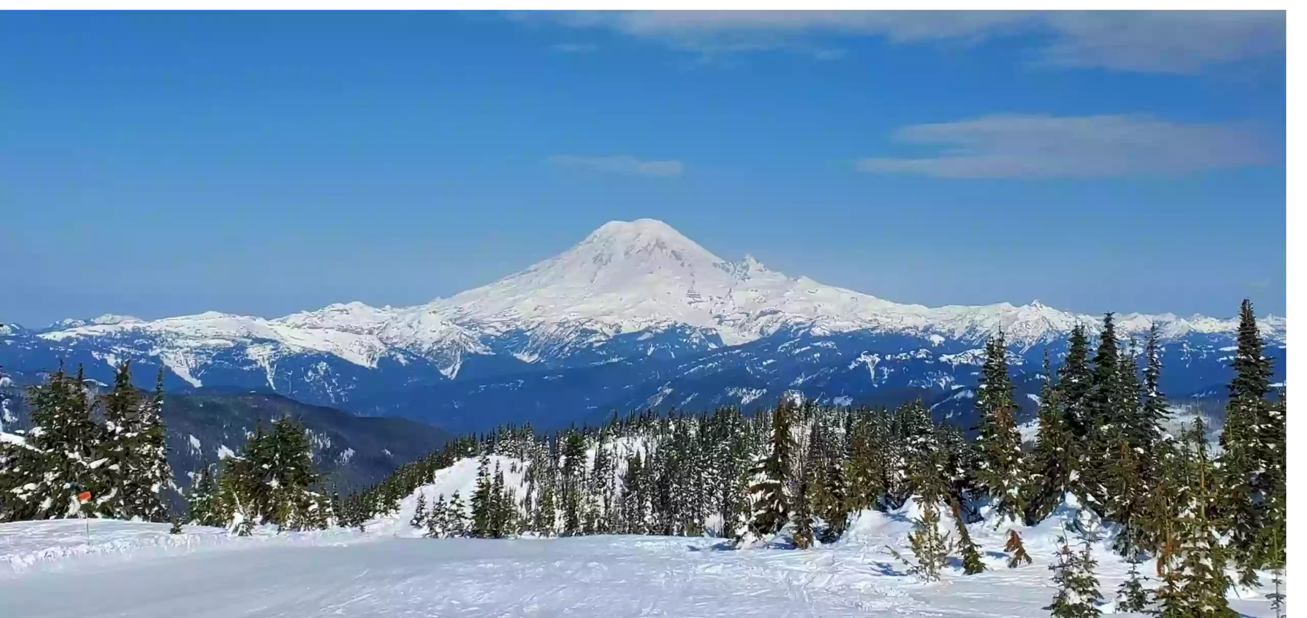 Rainier View Counseling